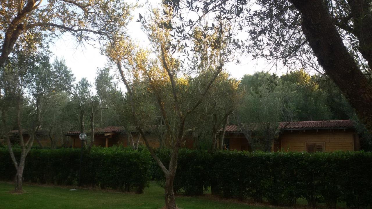 Agriturismo Lu Podere Alimini Dış mekan fotoğraf
