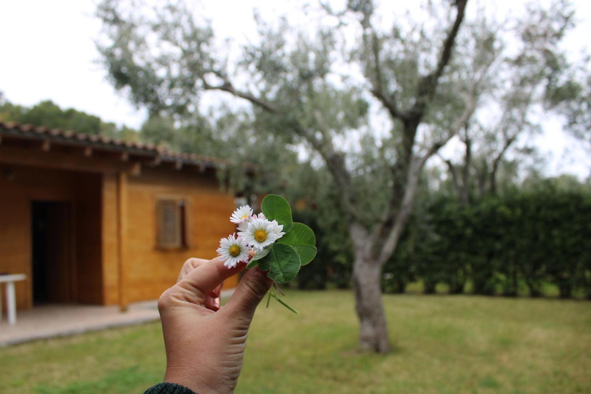Agriturismo Lu Podere Alimini Dış mekan fotoğraf