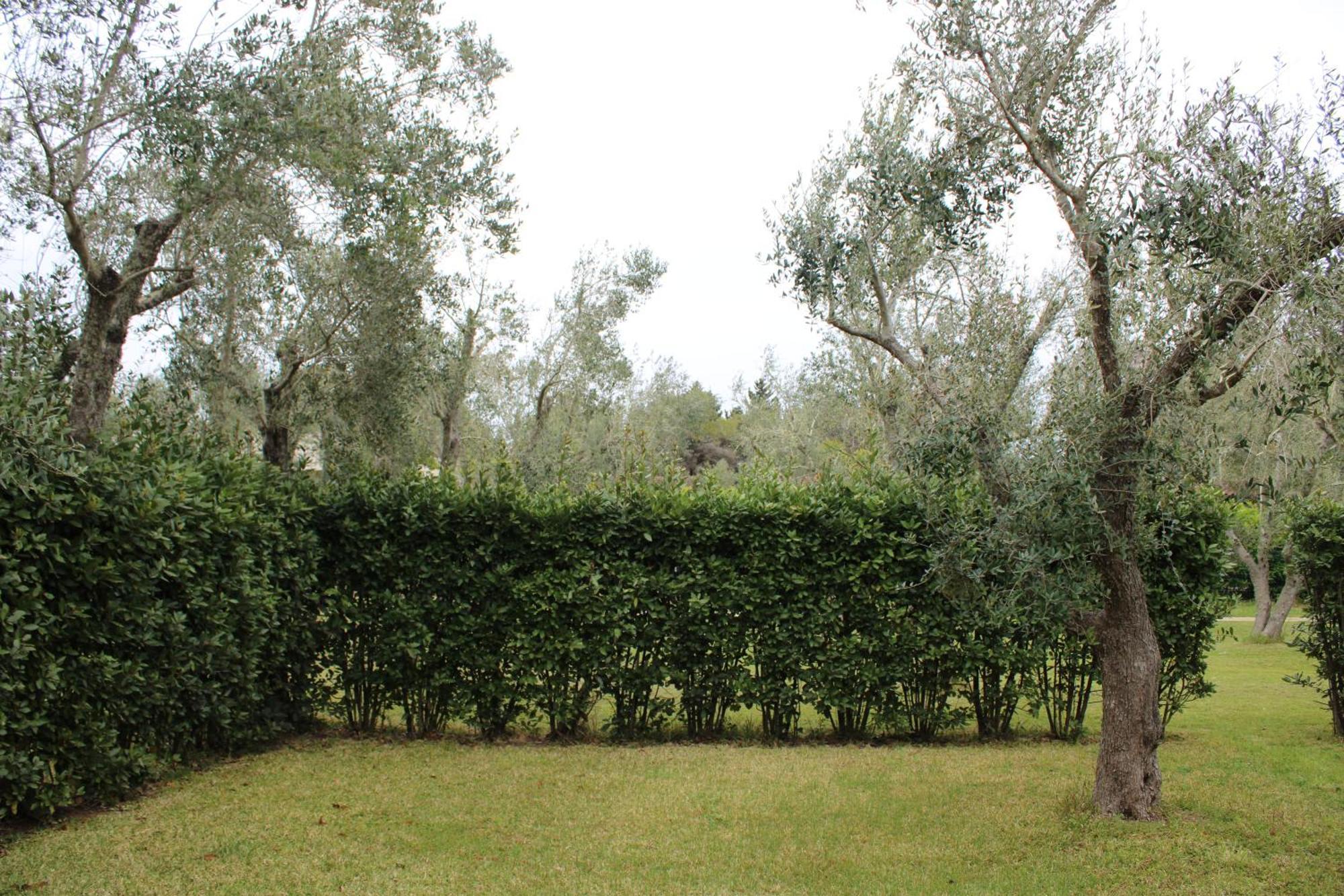 Agriturismo Lu Podere Alimini Dış mekan fotoğraf